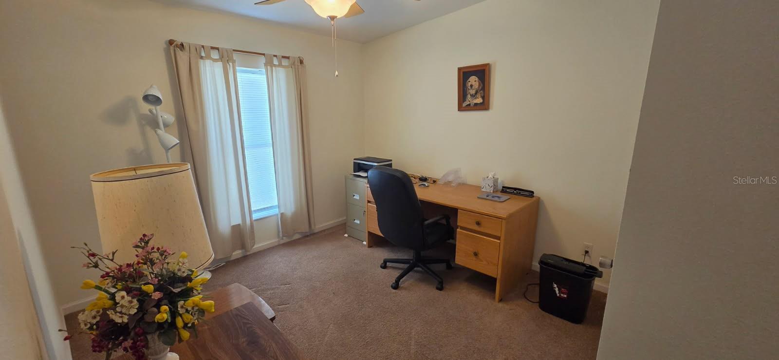 37437 Gill Ave Property Photo 16