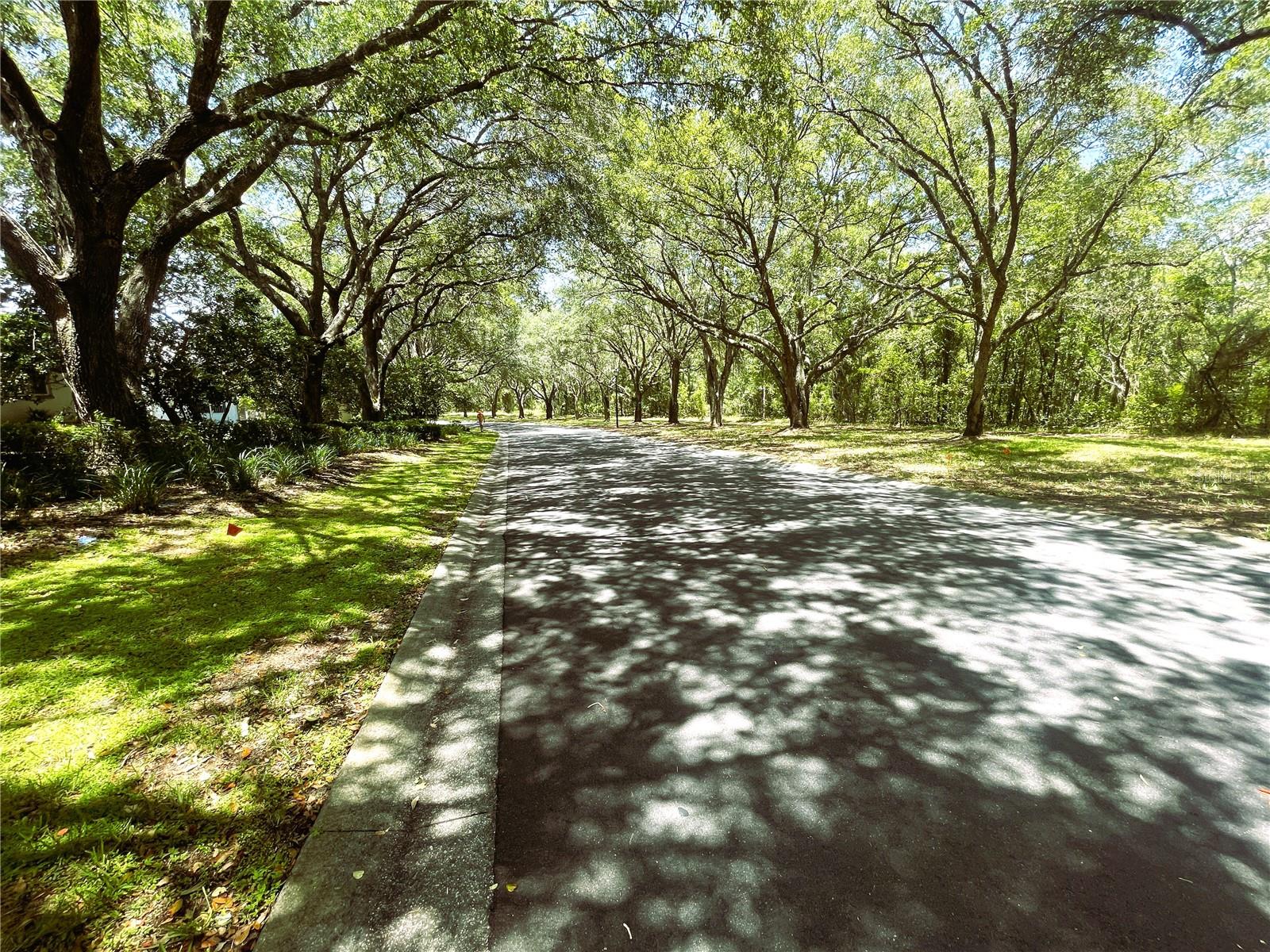 521 W Hillwood Path Property Photo 4