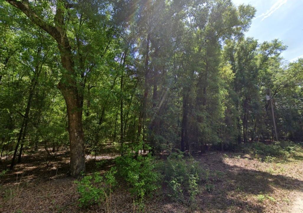 Ne Willow Bend Ter Property Photo 1