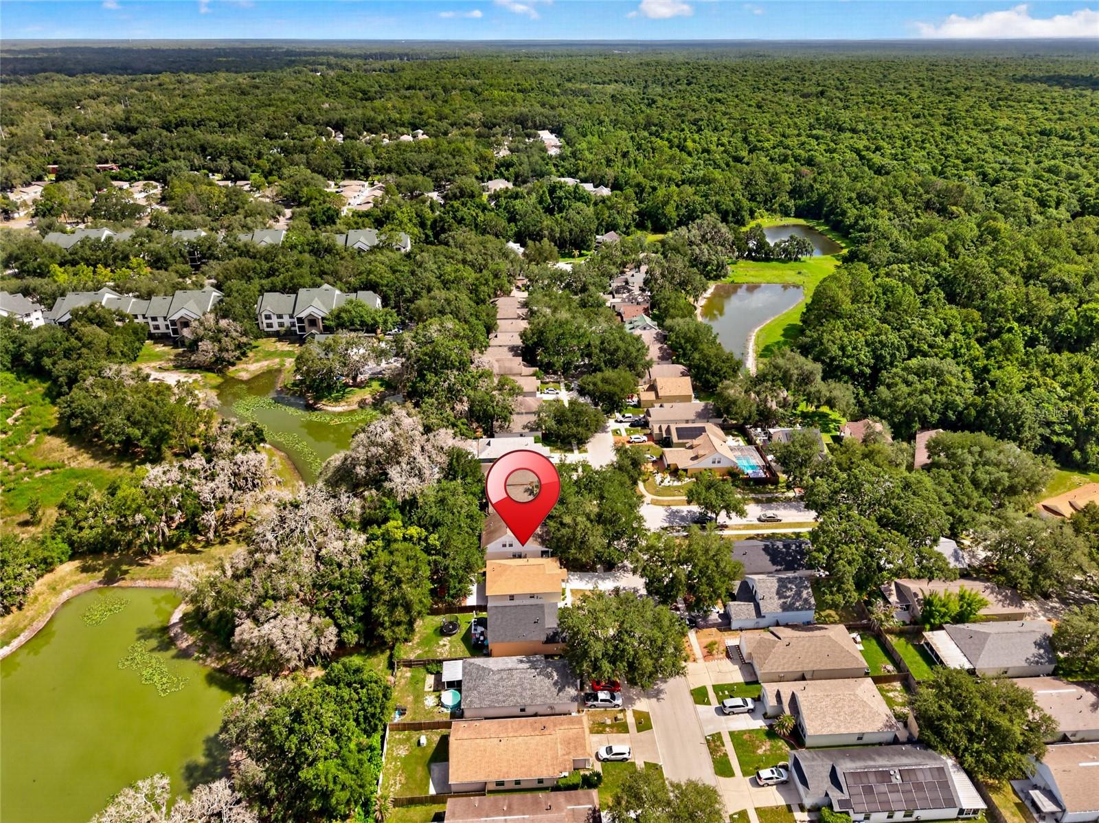 15032 Deer Meadow Dr Property Photo 45