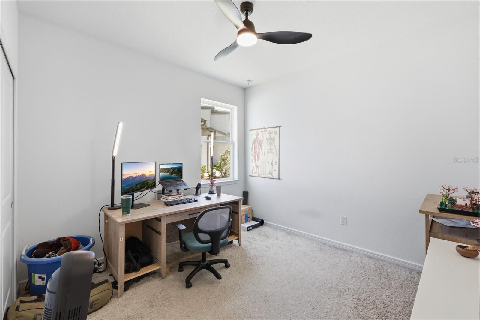 12071 Orchid Ash St Property Photo 21
