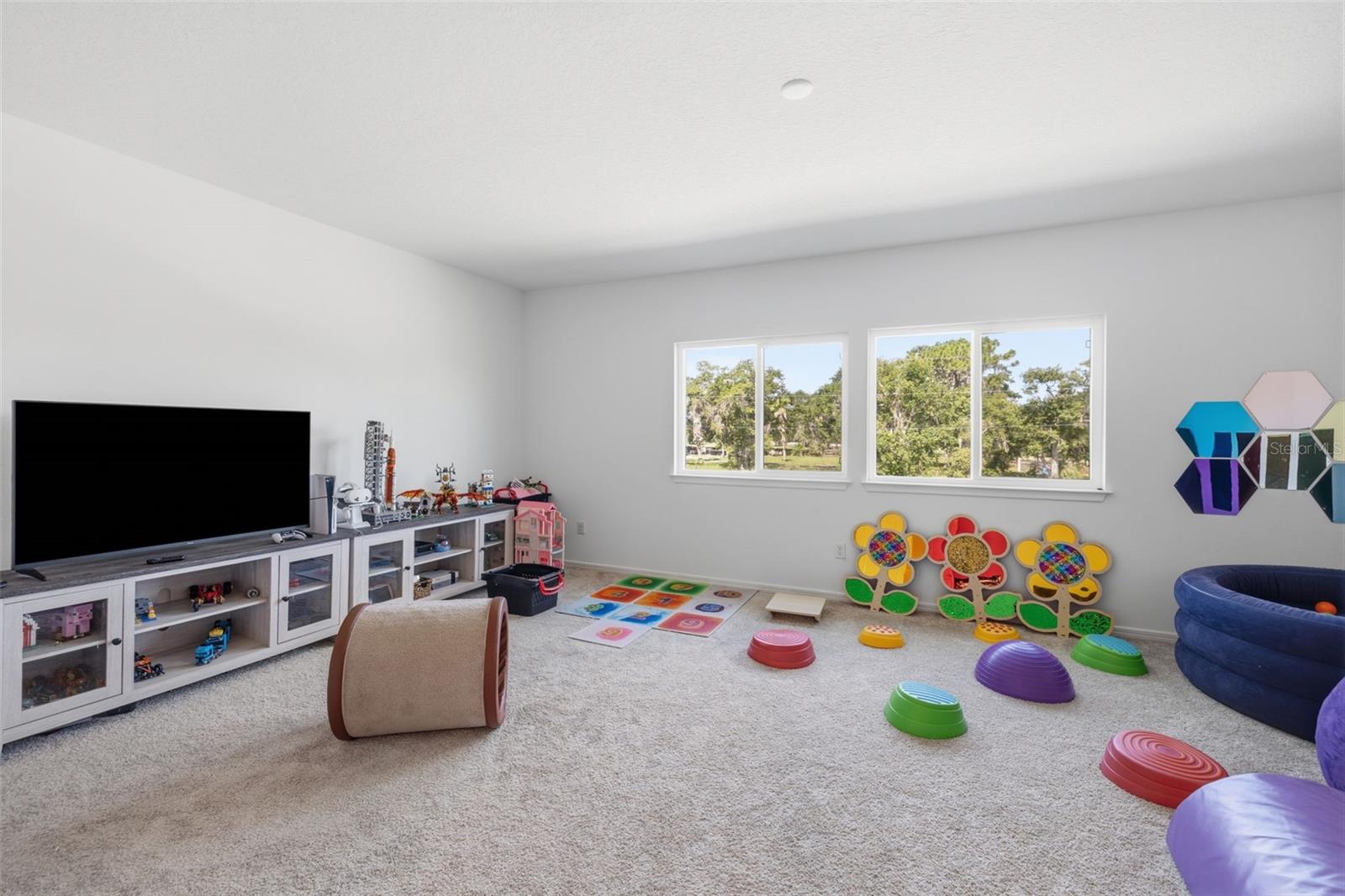 12071 Orchid Ash St Property Photo 25