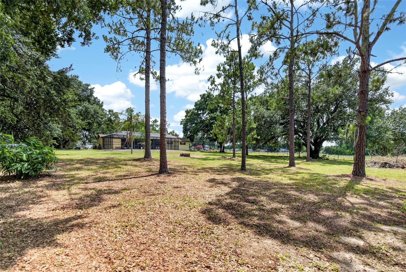 3708 Joe Sanchez Rd Property Photo 68