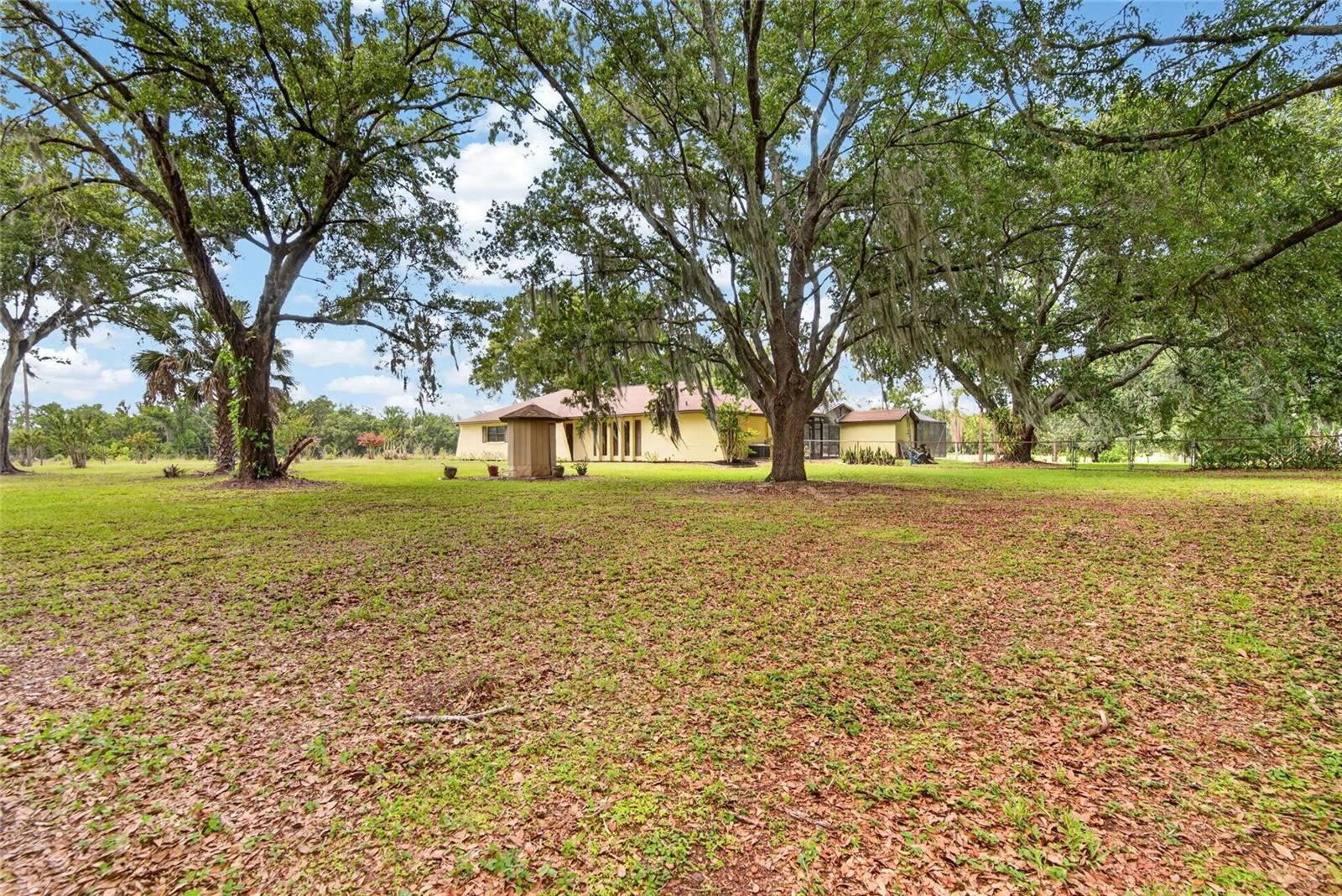 3708 Joe Sanchez Rd Property Photo 79