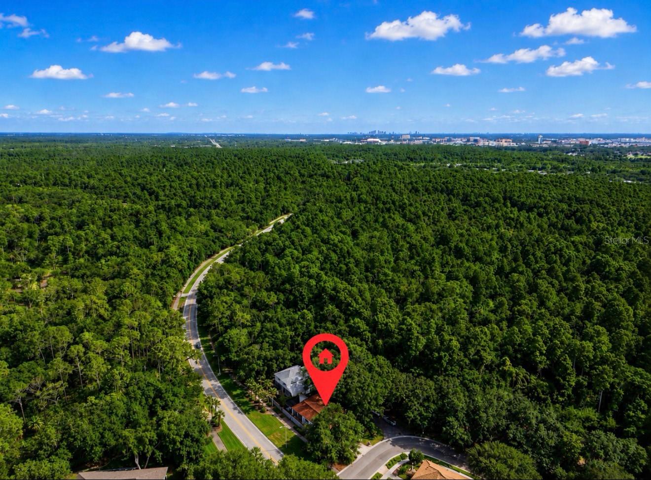5204 Green Forest Ct Property Photo 40