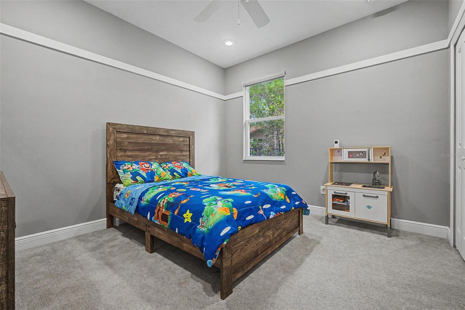 11882 Frost Aster Dr Property Photo 36