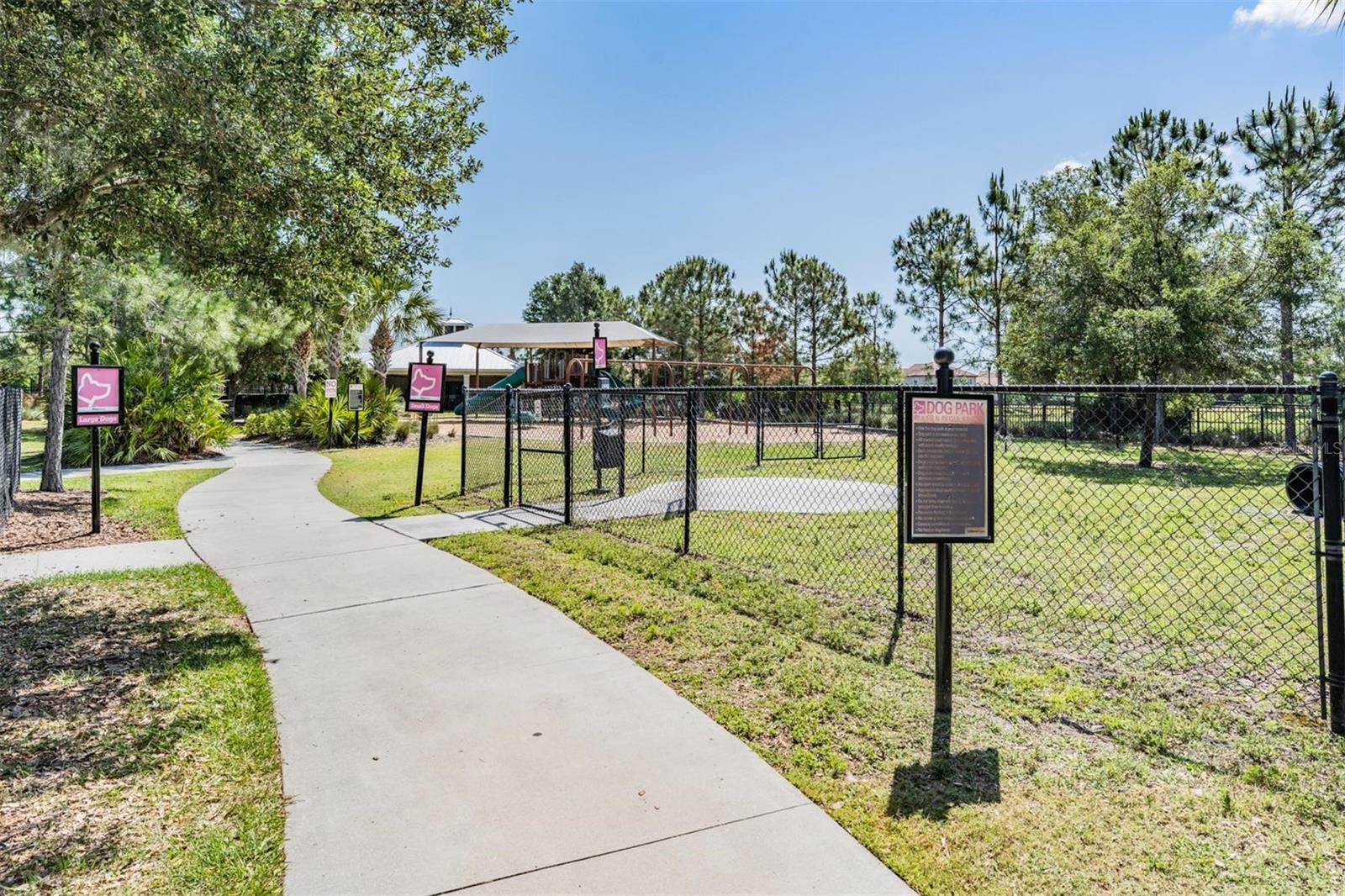 11882 Frost Aster Dr Property Photo 52