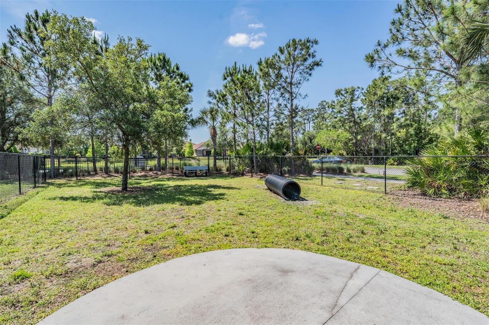 11882 Frost Aster Dr Property Photo 53
