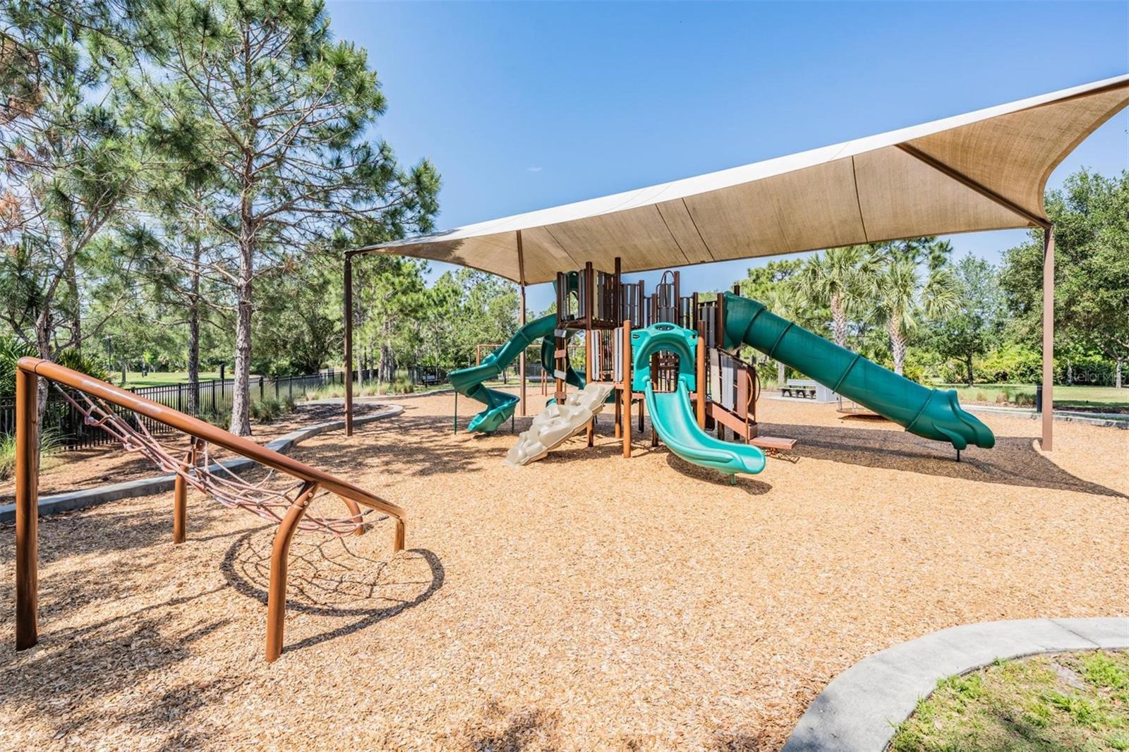 11882 Frost Aster Dr Property Photo 65