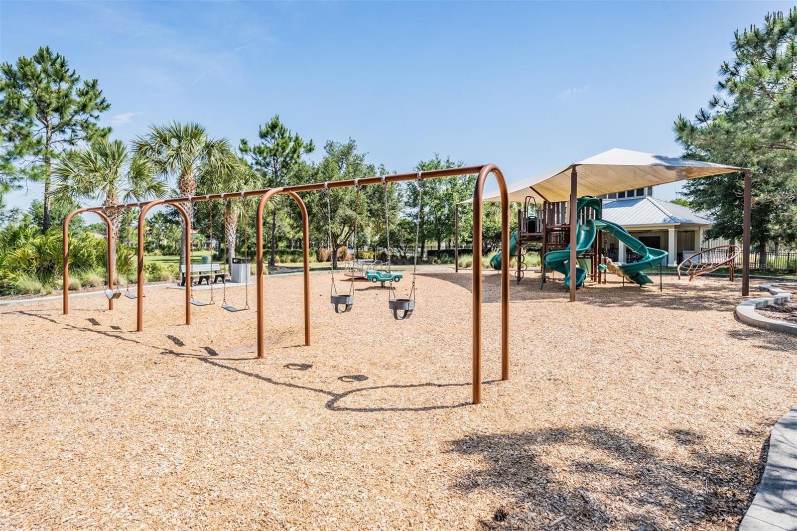 11882 Frost Aster Dr Property Photo 66