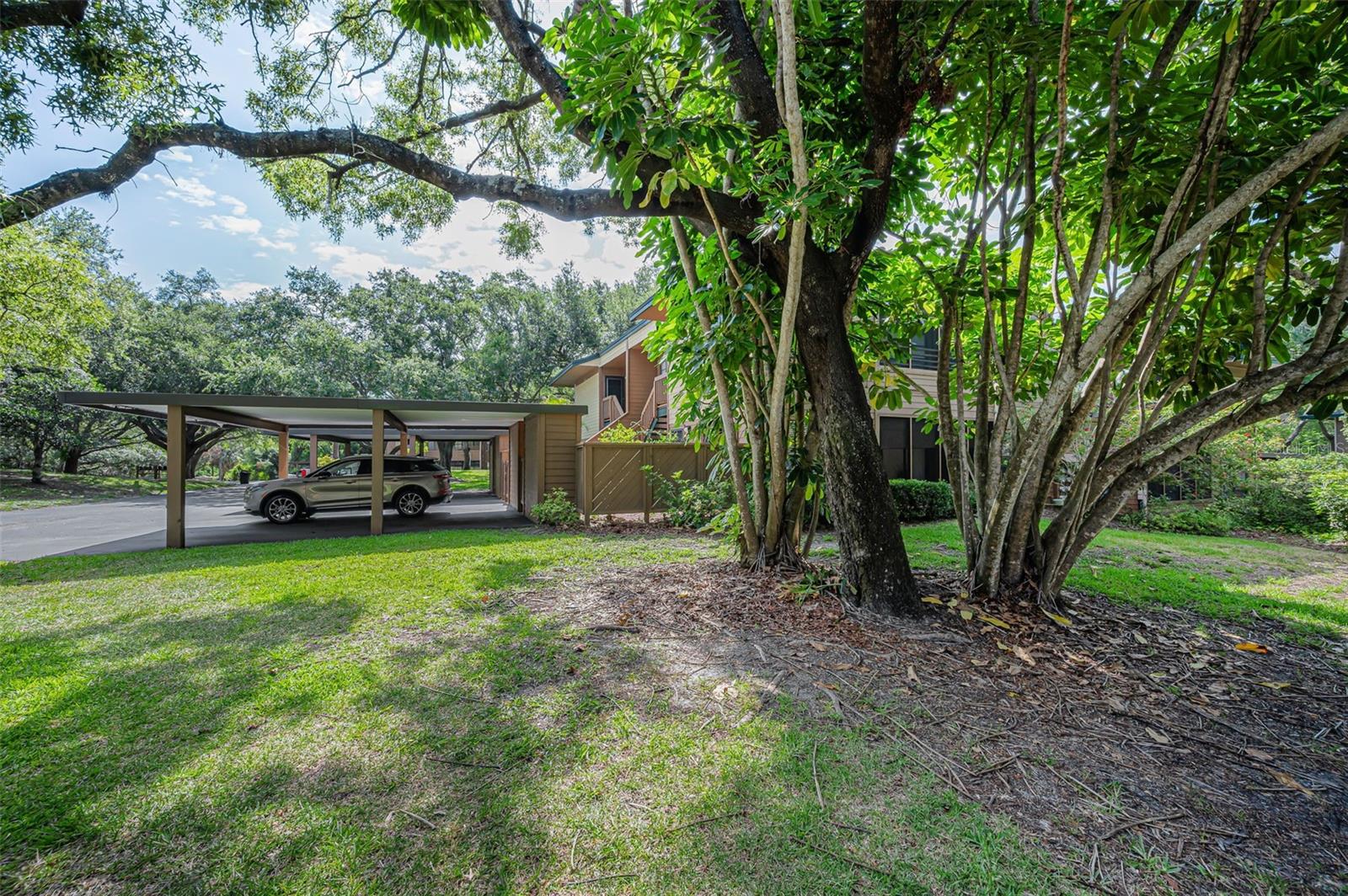 2205 Lennox Rd E #2205 Property Photo 40
