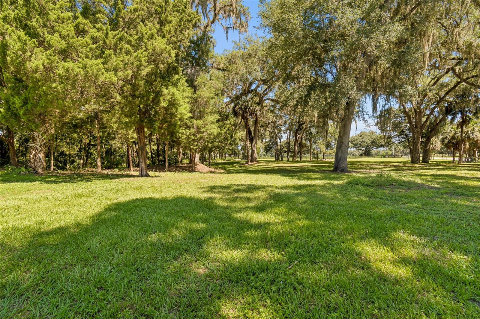 8800 S Steed Ter Property Photo 11