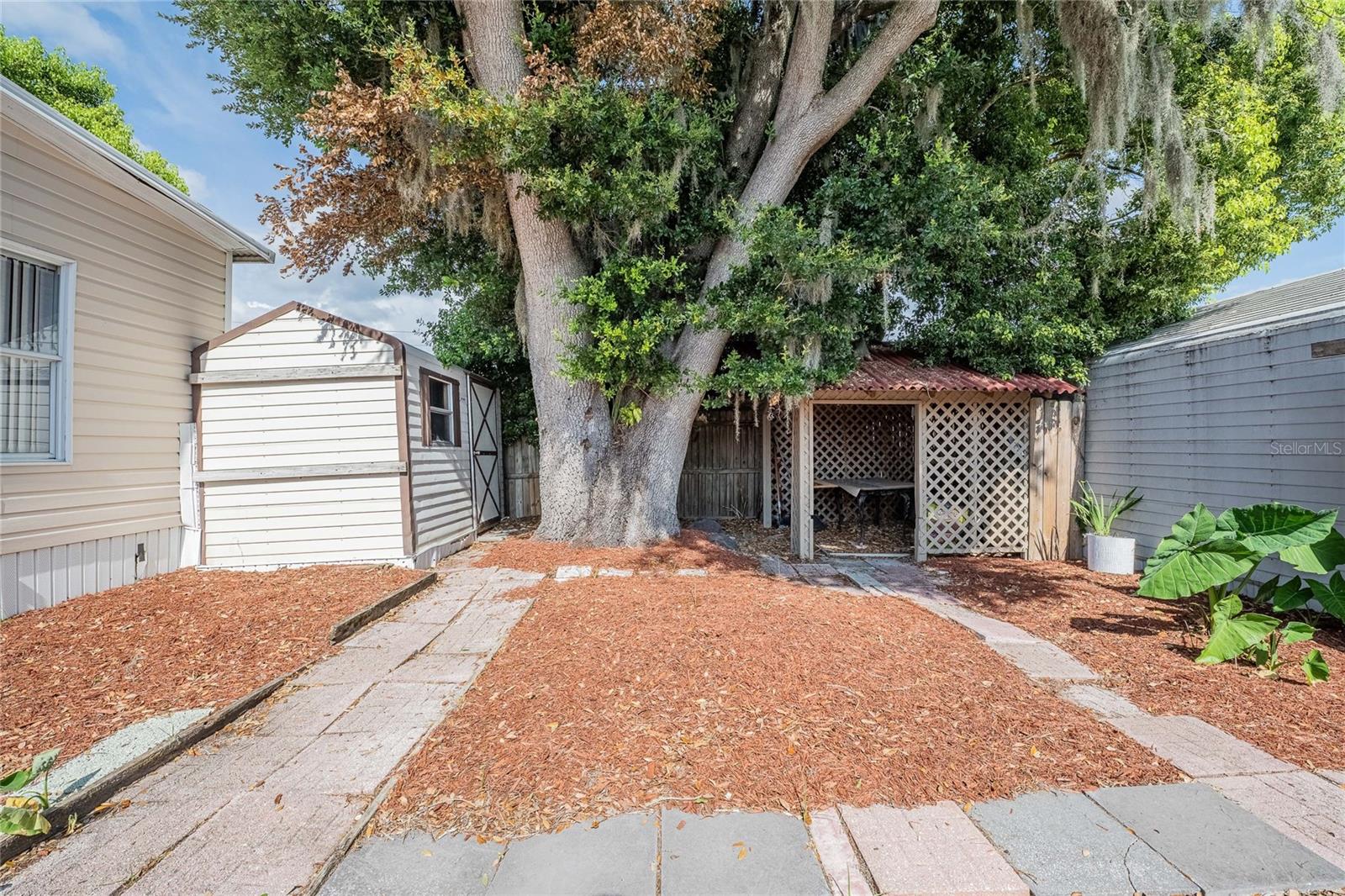 36749 Jodi Ave Property Photo 21