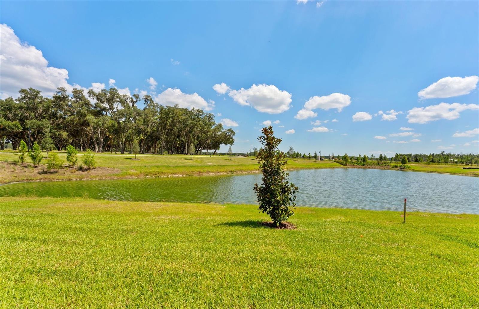 34754 Lowery Trl Property Photo 16