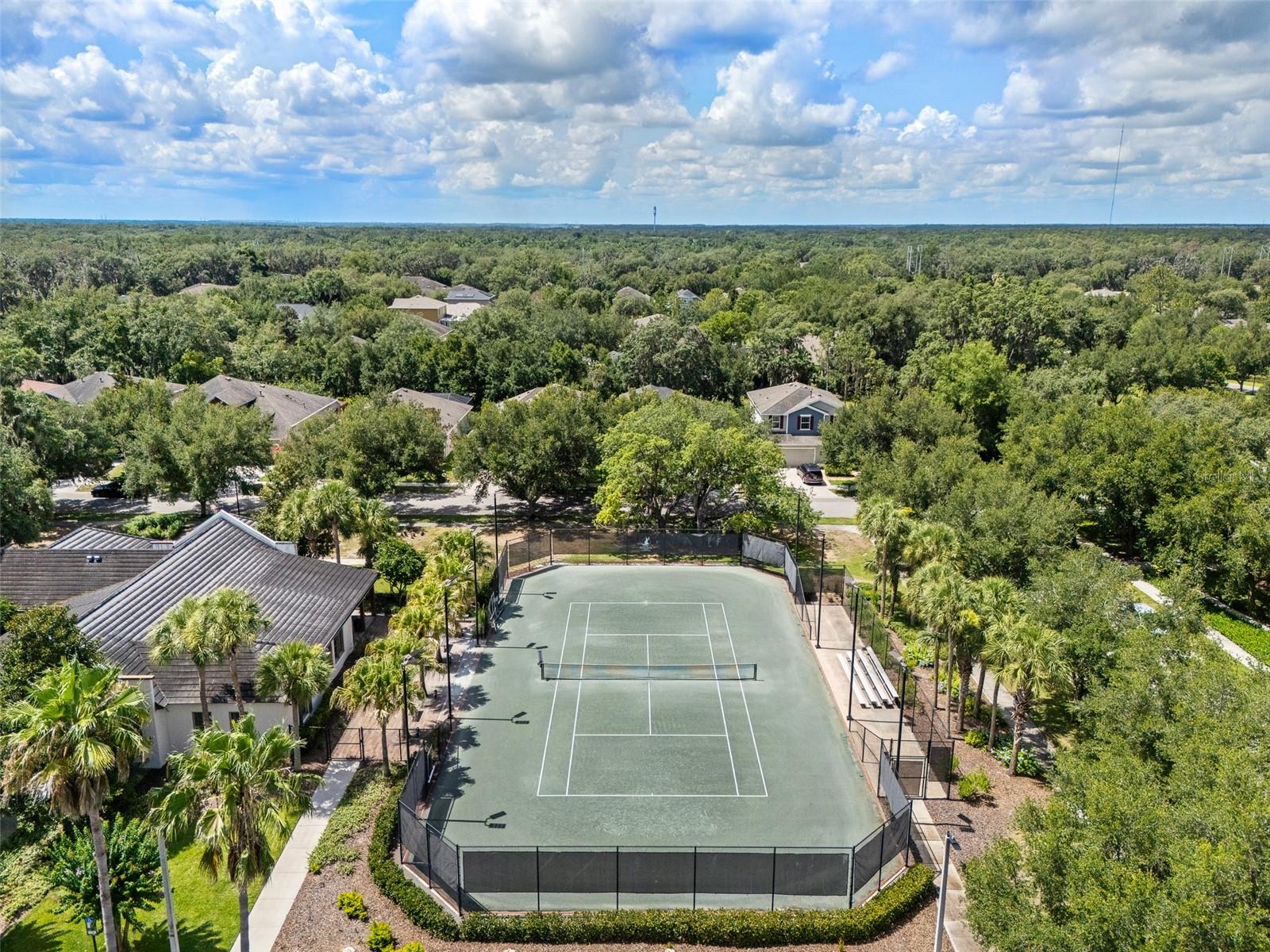15814 Starling Water Dr Property Photo 41