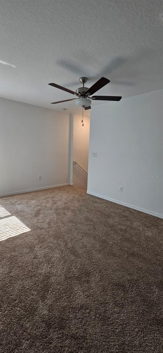 9910 Spanish Lime Ct Property Photo 15