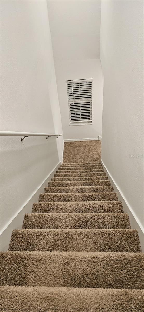9910 Spanish Lime Ct Property Photo 43