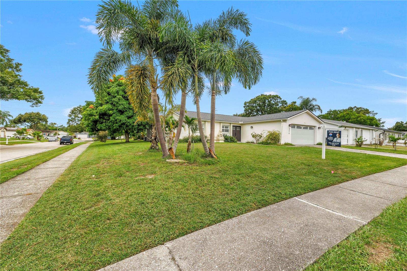 3216 Pine Haven Dr Property Photo 3