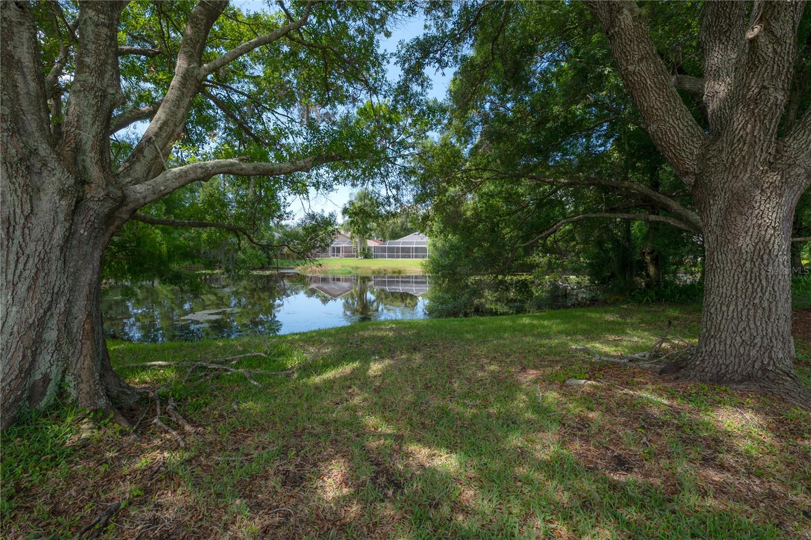 11820 Easthampton Dr Property Photo 46