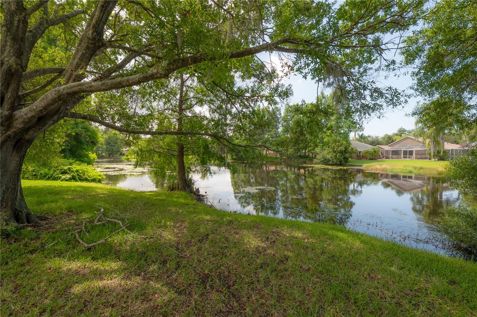 11820 Easthampton Dr Property Photo 47