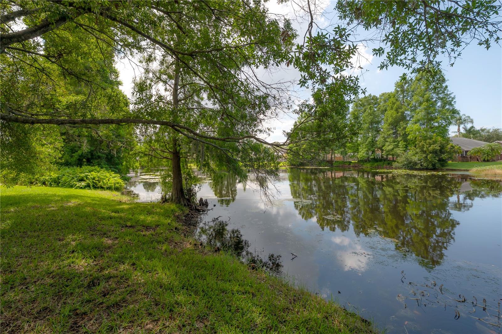 11820 Easthampton Dr Property Photo 48