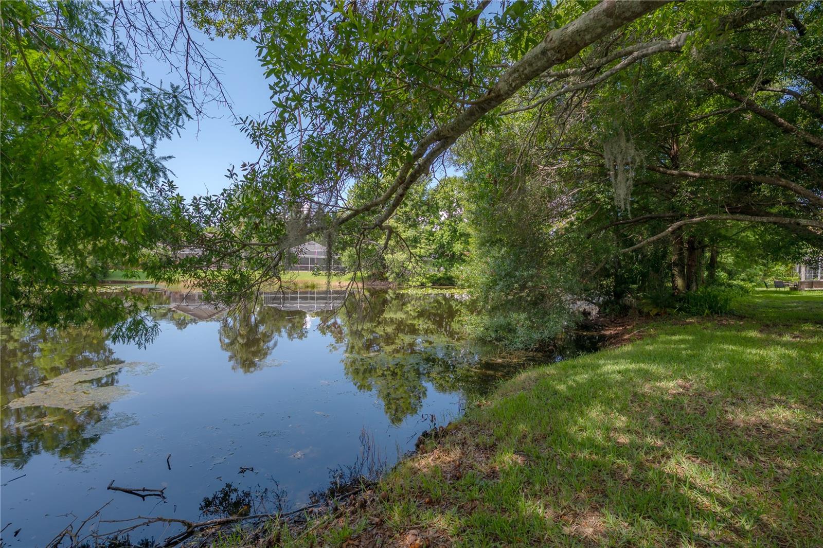 11820 Easthampton Dr Property Photo 49