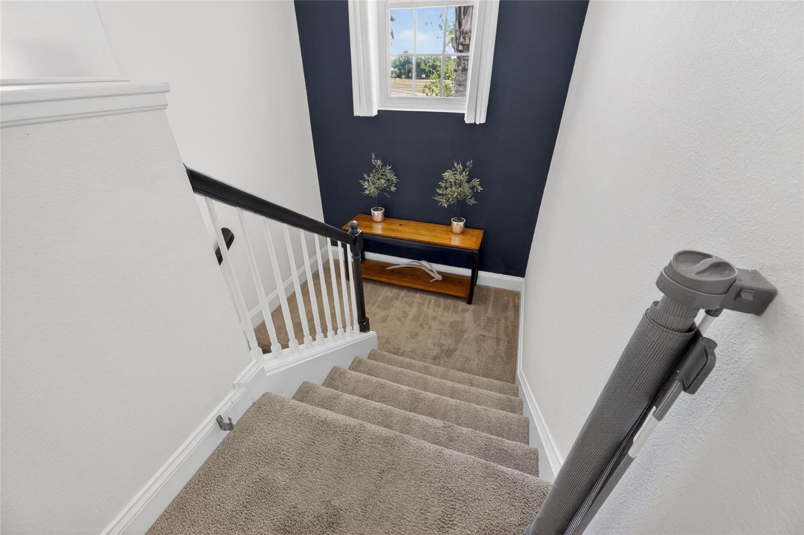 5536 Luminar Pointe Ln Property Photo 49
