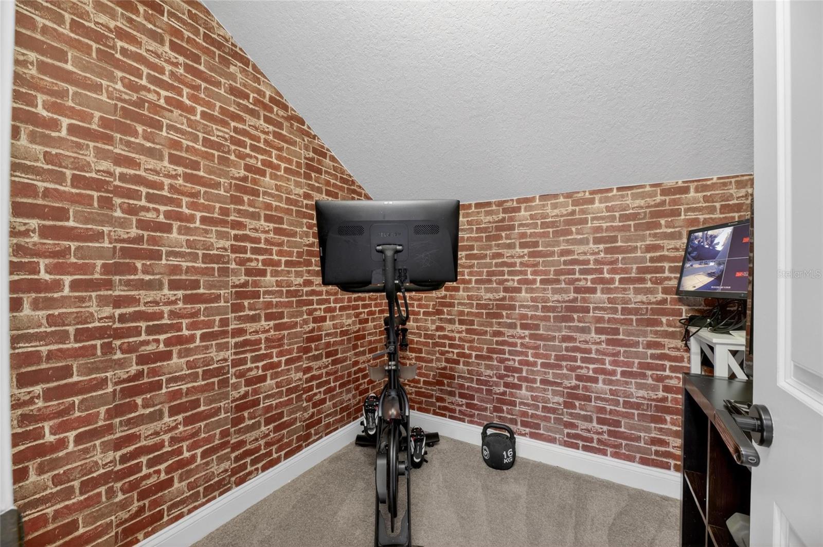 5536 Luminar Pointe Ln Property Photo 65