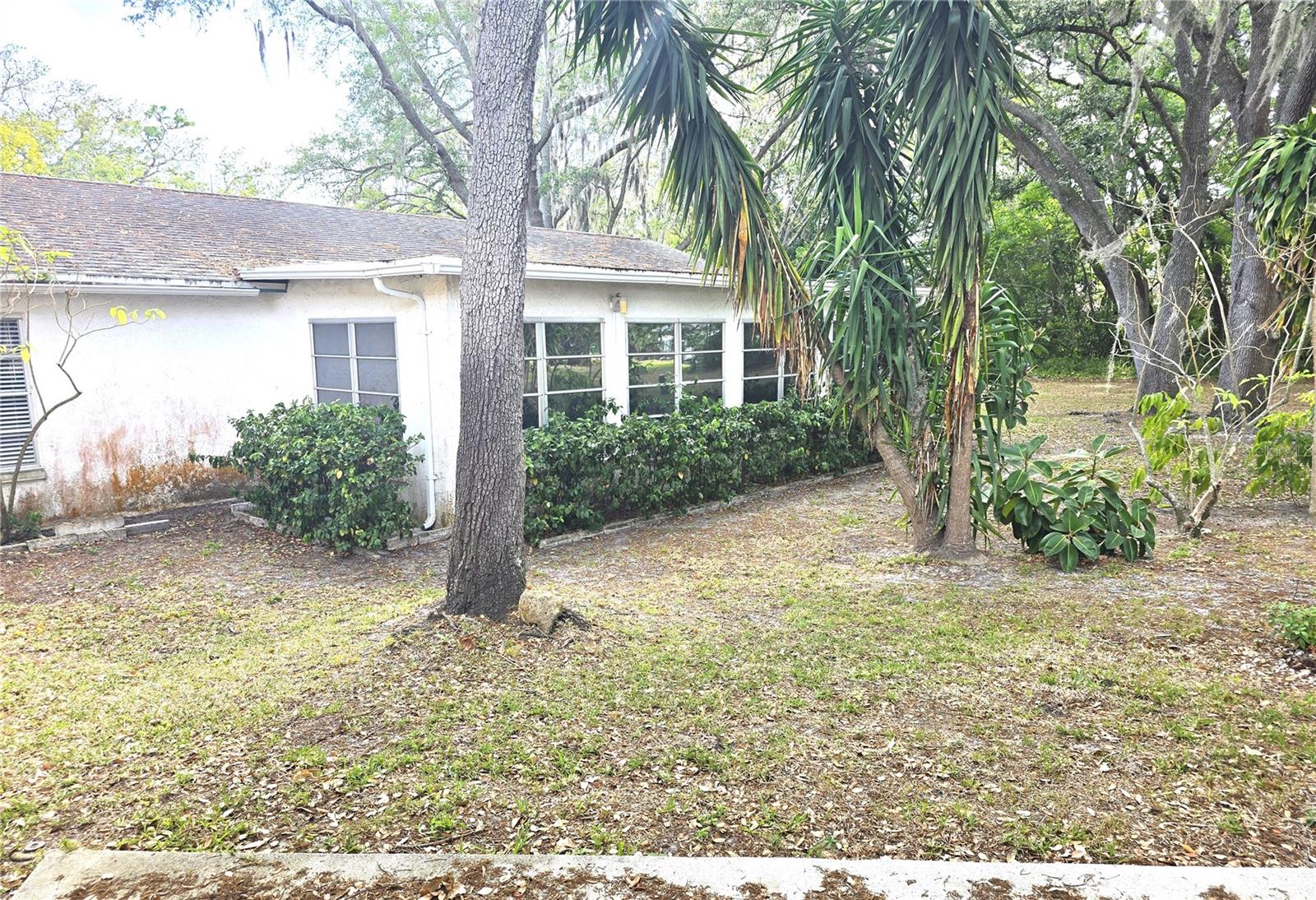 10641 Timber Ln Property Photo 37