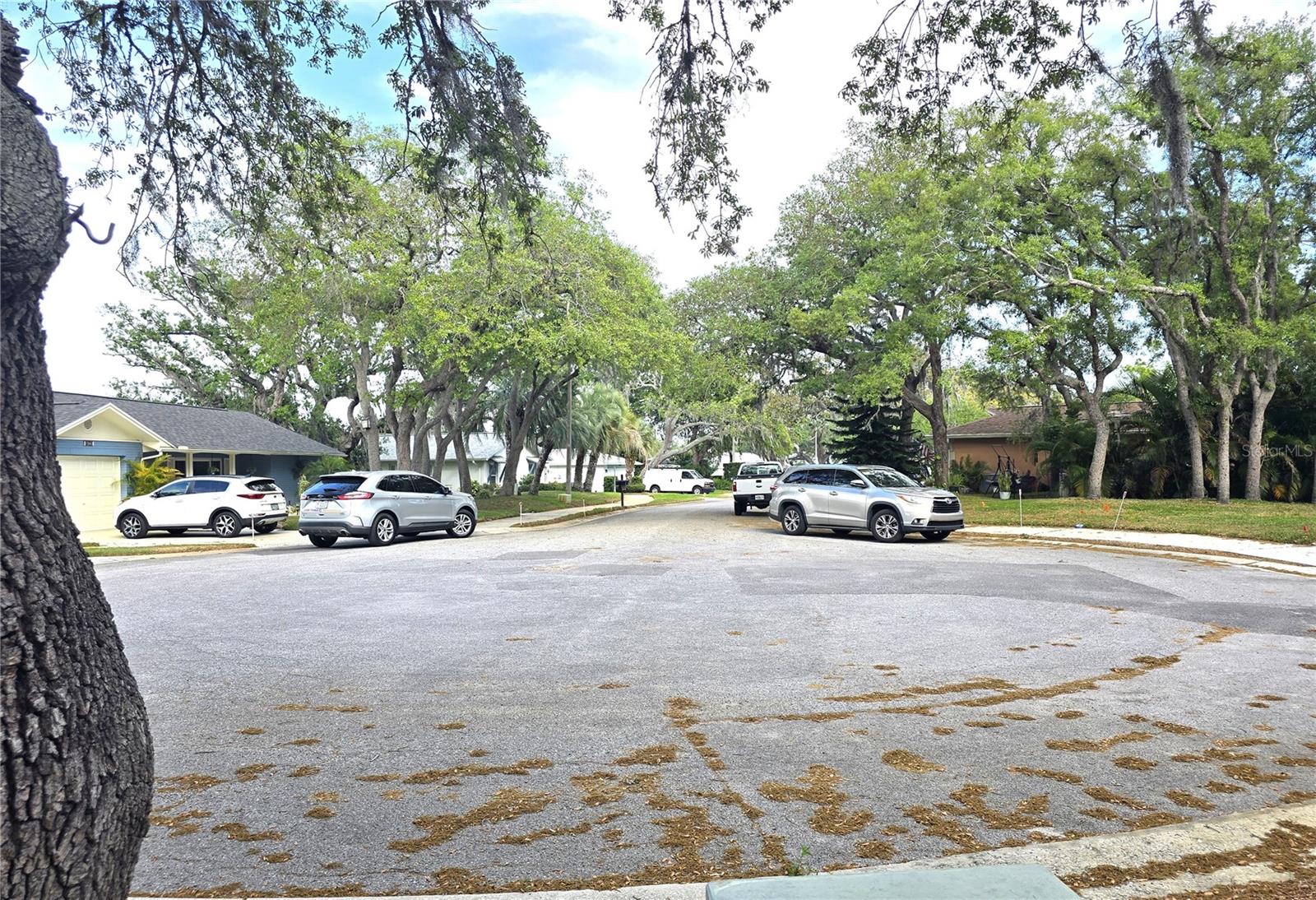 10641 Timber Ln Property Photo 40
