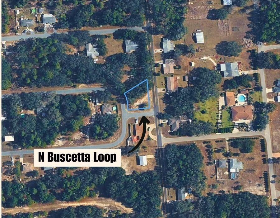 8549 N Buscetta Loop Property Photo 3