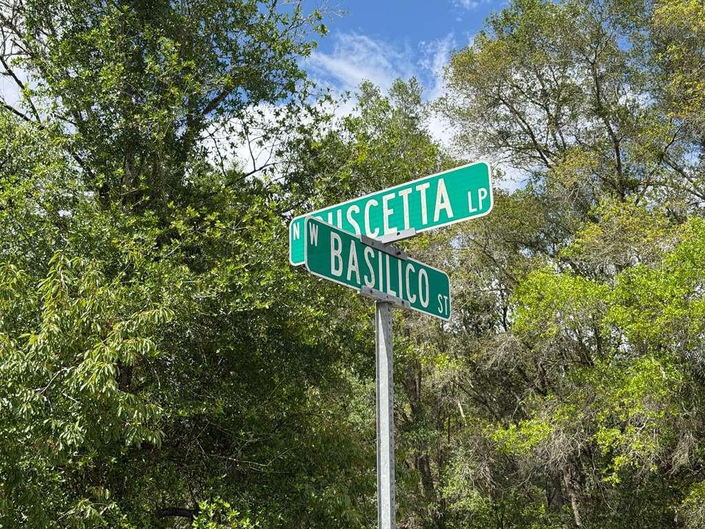 8549 N Buscetta Loop Property Photo 6