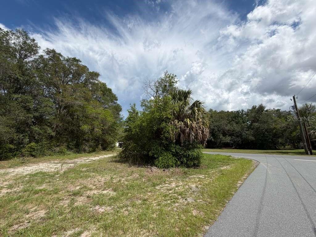 8549 N Buscetta Loop Property Photo 13