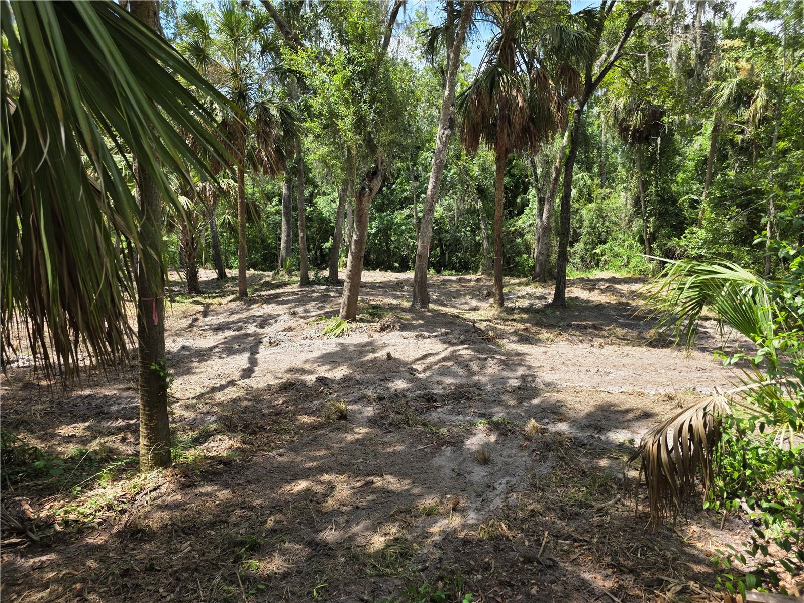 4876 Rambling River Rd Property Photo 6