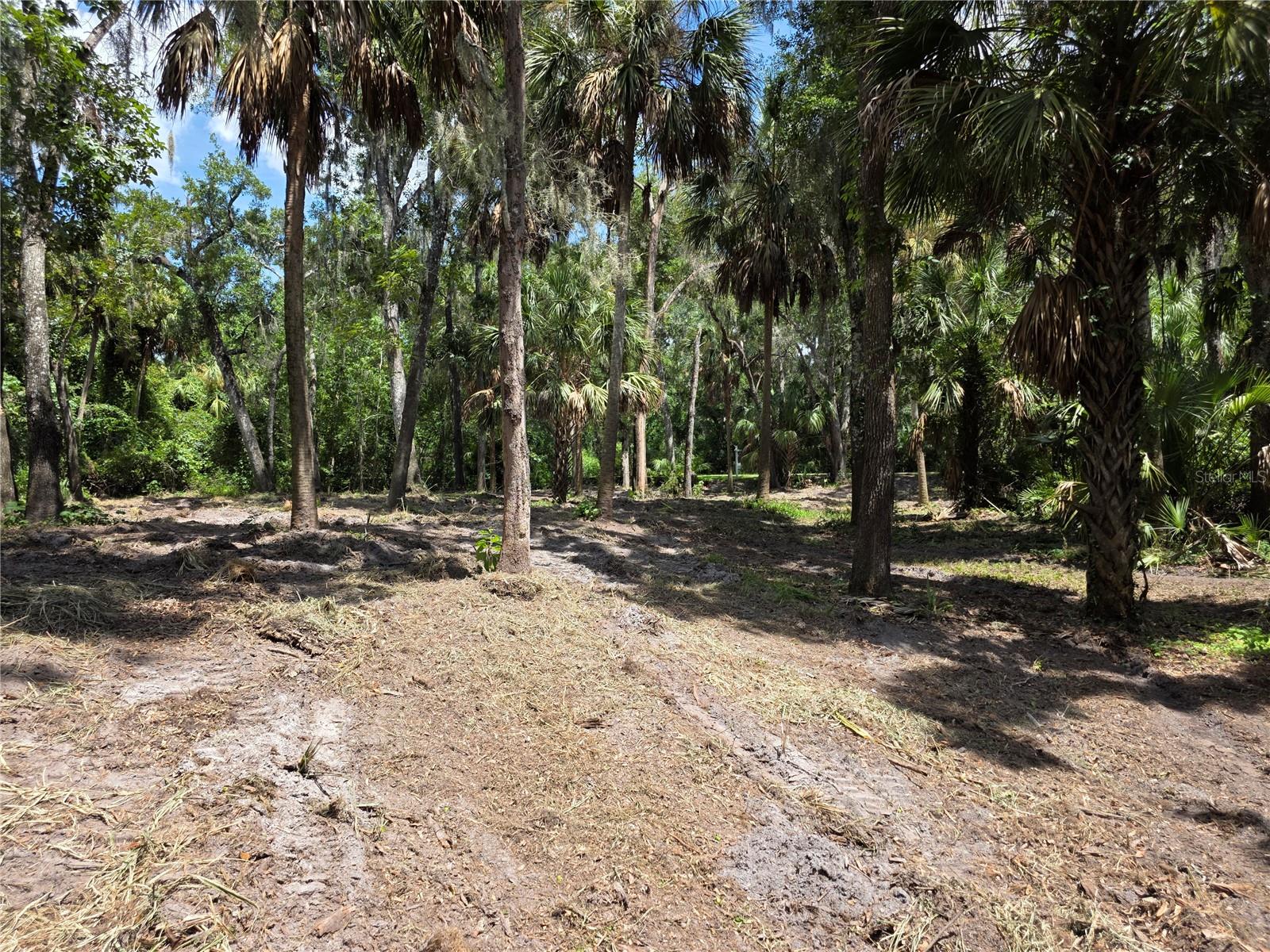 4876 Rambling River Rd Property Photo 7