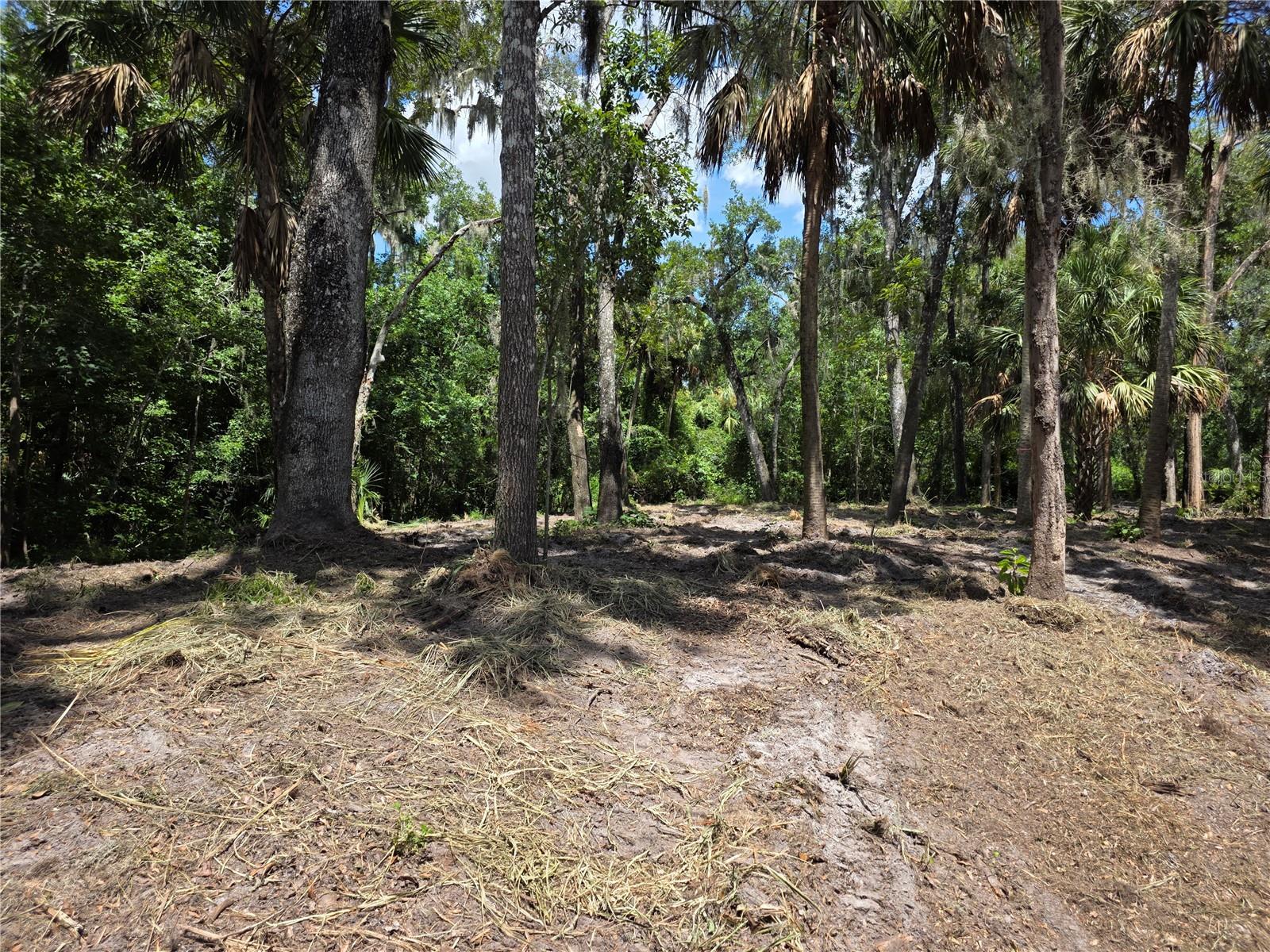 4876 Rambling River Rd Property Photo 8