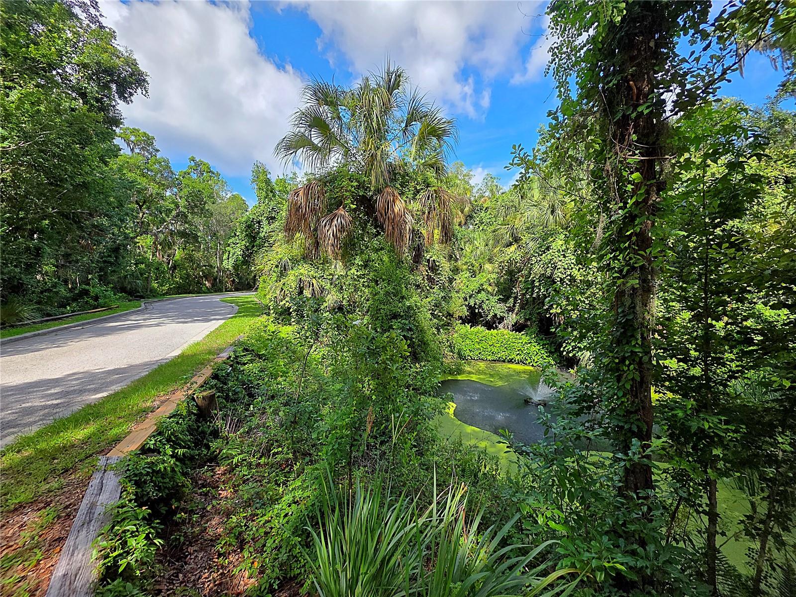 4876 Rambling River Rd Property Photo 10