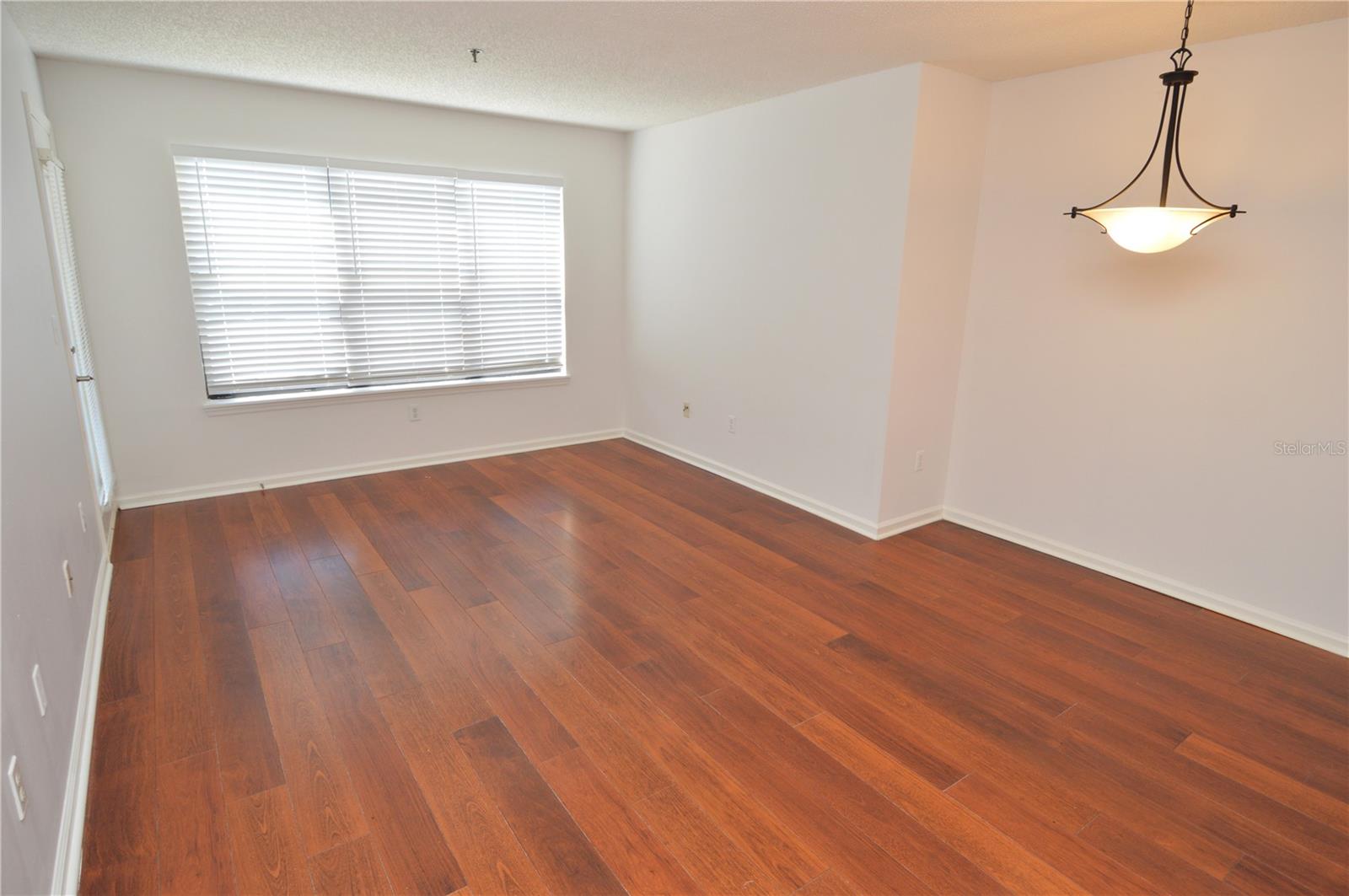 11901 4th St N #7204 Property Photo 13