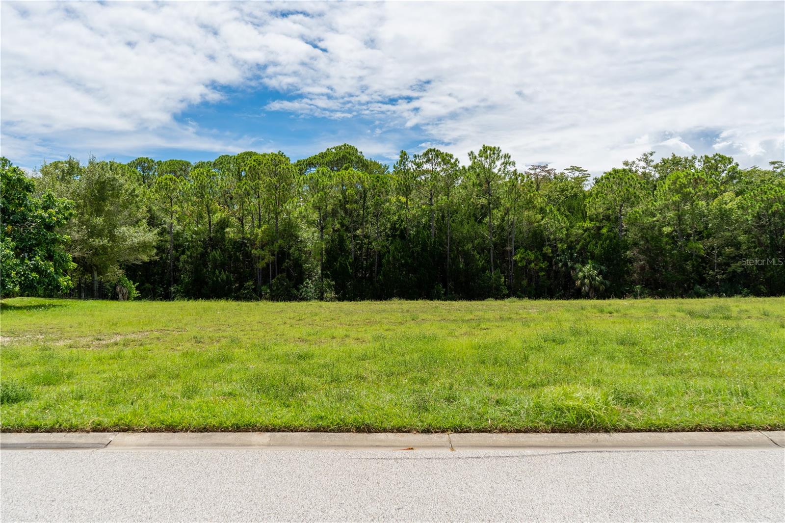 4050 Jewfish Dr Property Photo 13