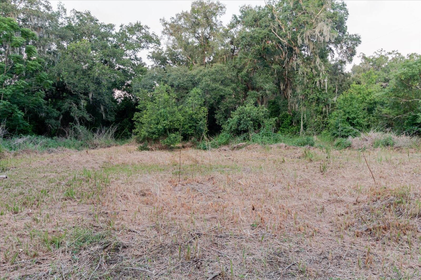 11152 Galaxy Ln Property Photo 35