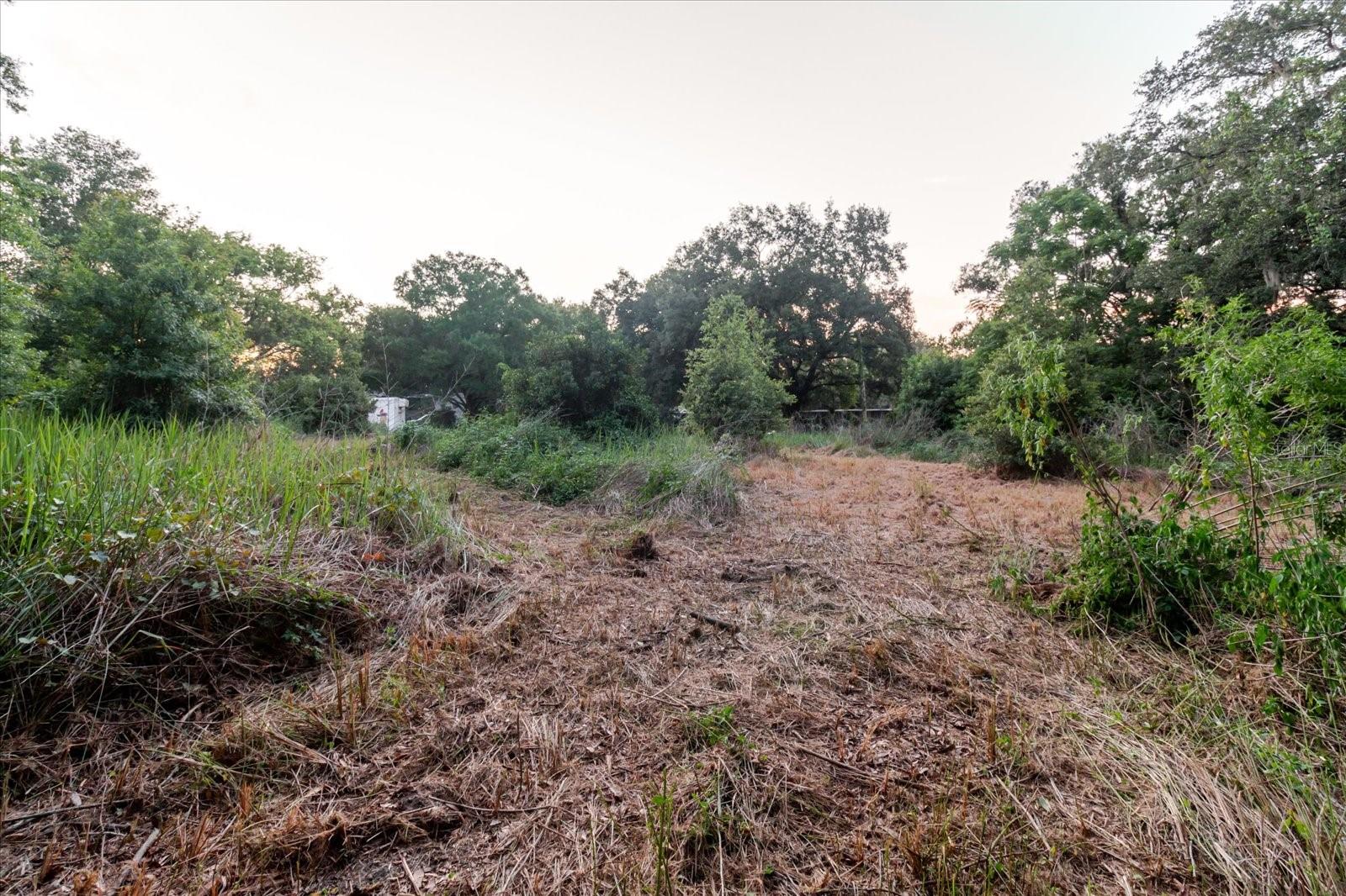 11152 Galaxy Ln Property Photo 37