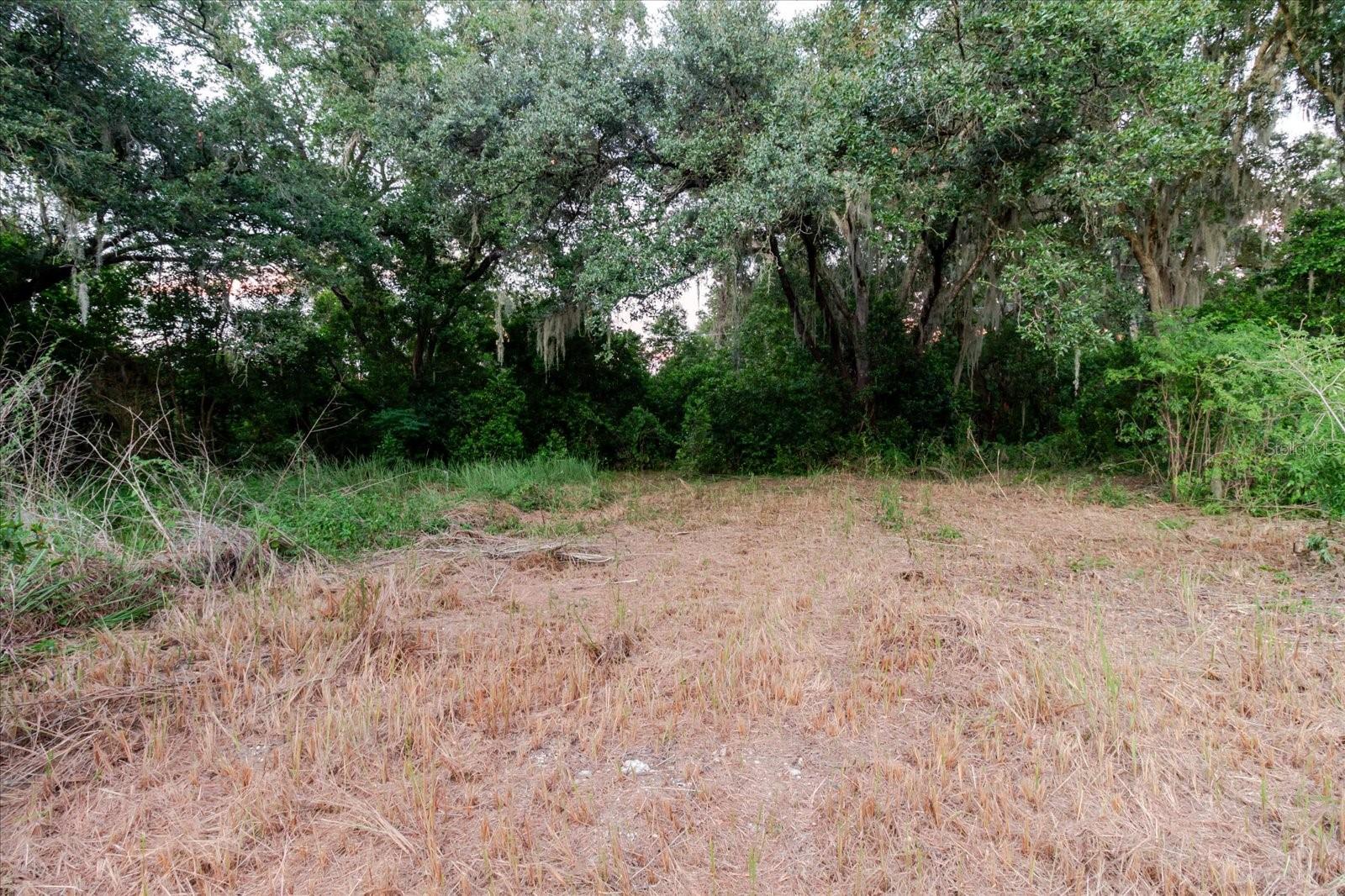 11152 Galaxy Ln Property Photo 38