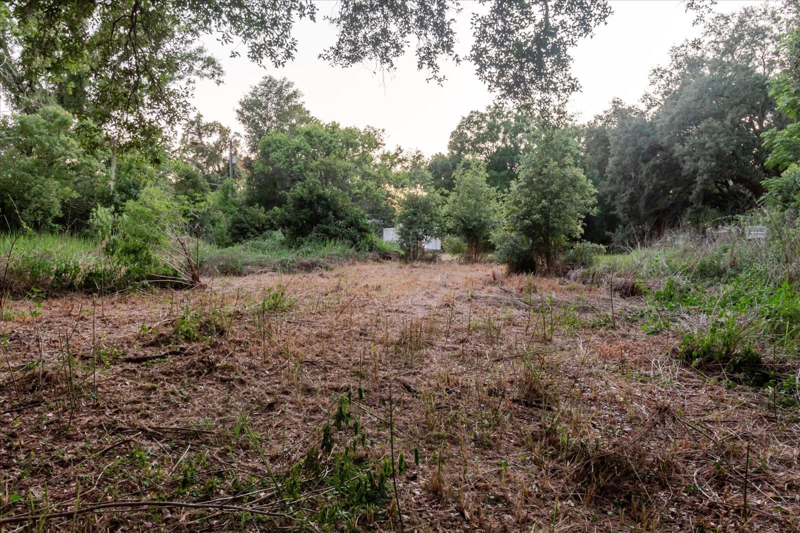 11152 Galaxy Ln Property Photo 39