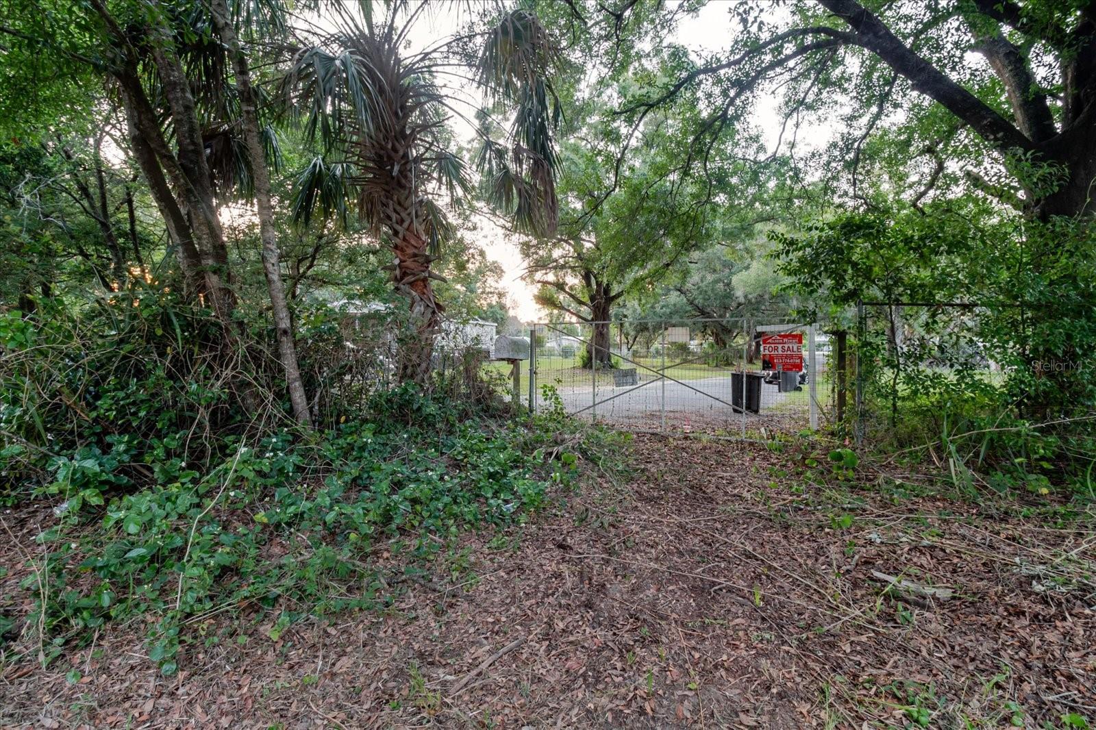 11152 Galaxy Ln Property Photo 59