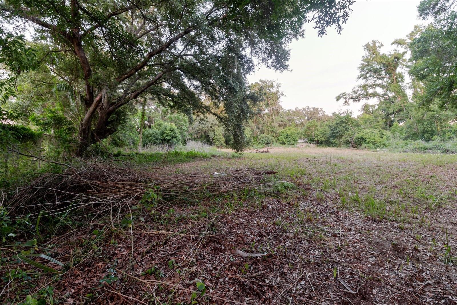 11152 Galaxy Ln Property Photo 61