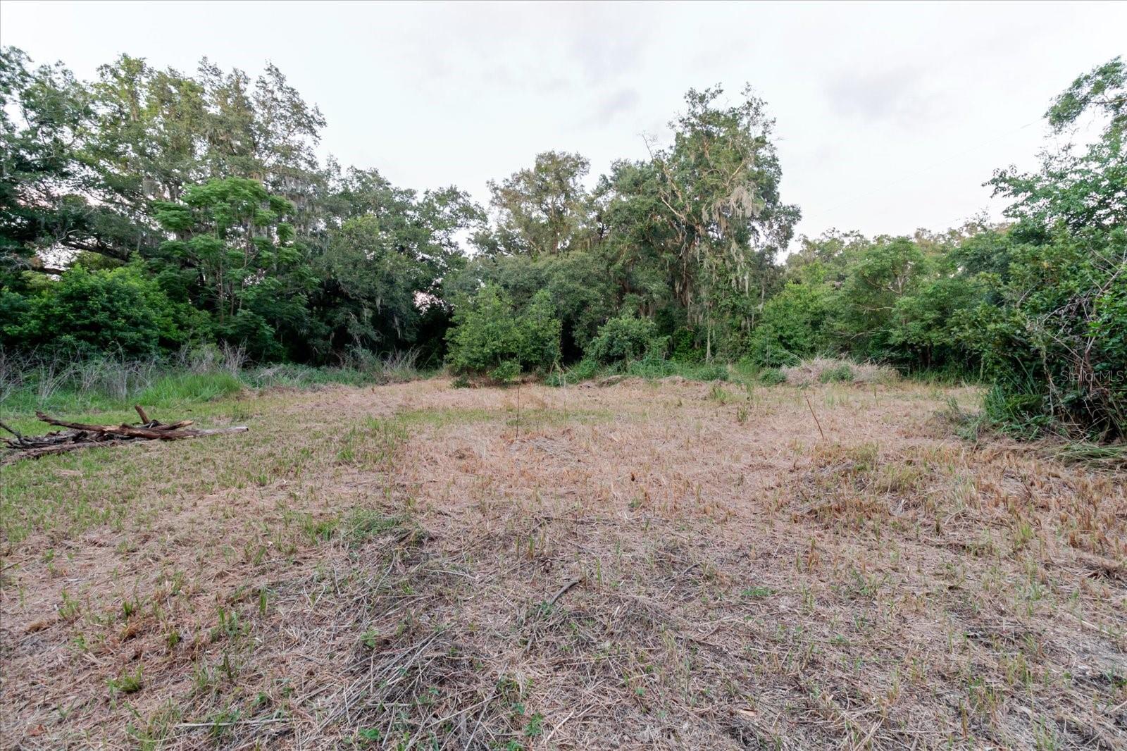 11152 Galaxy Ln Property Photo 62
