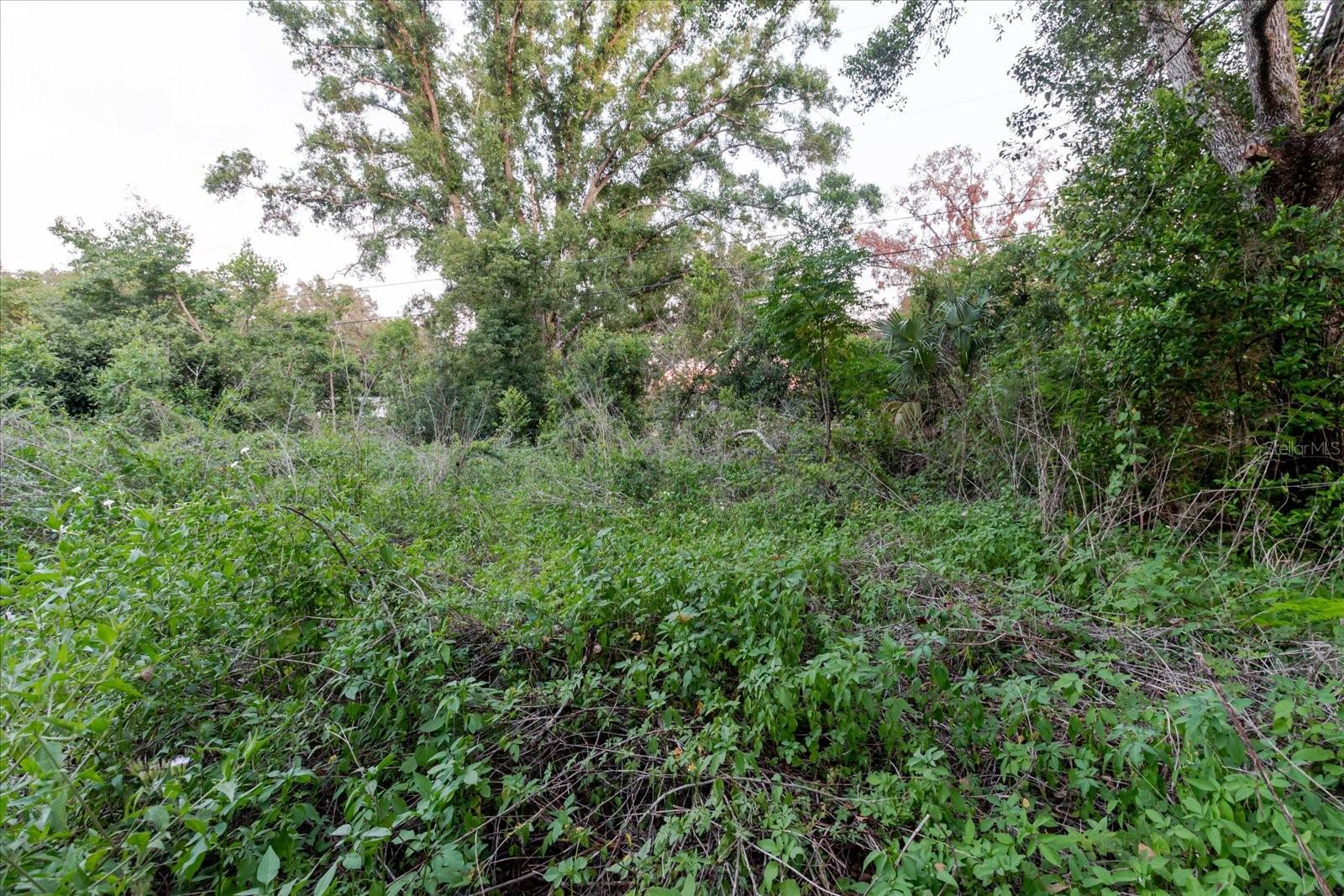 11152 Galaxy Ln Property Photo 63