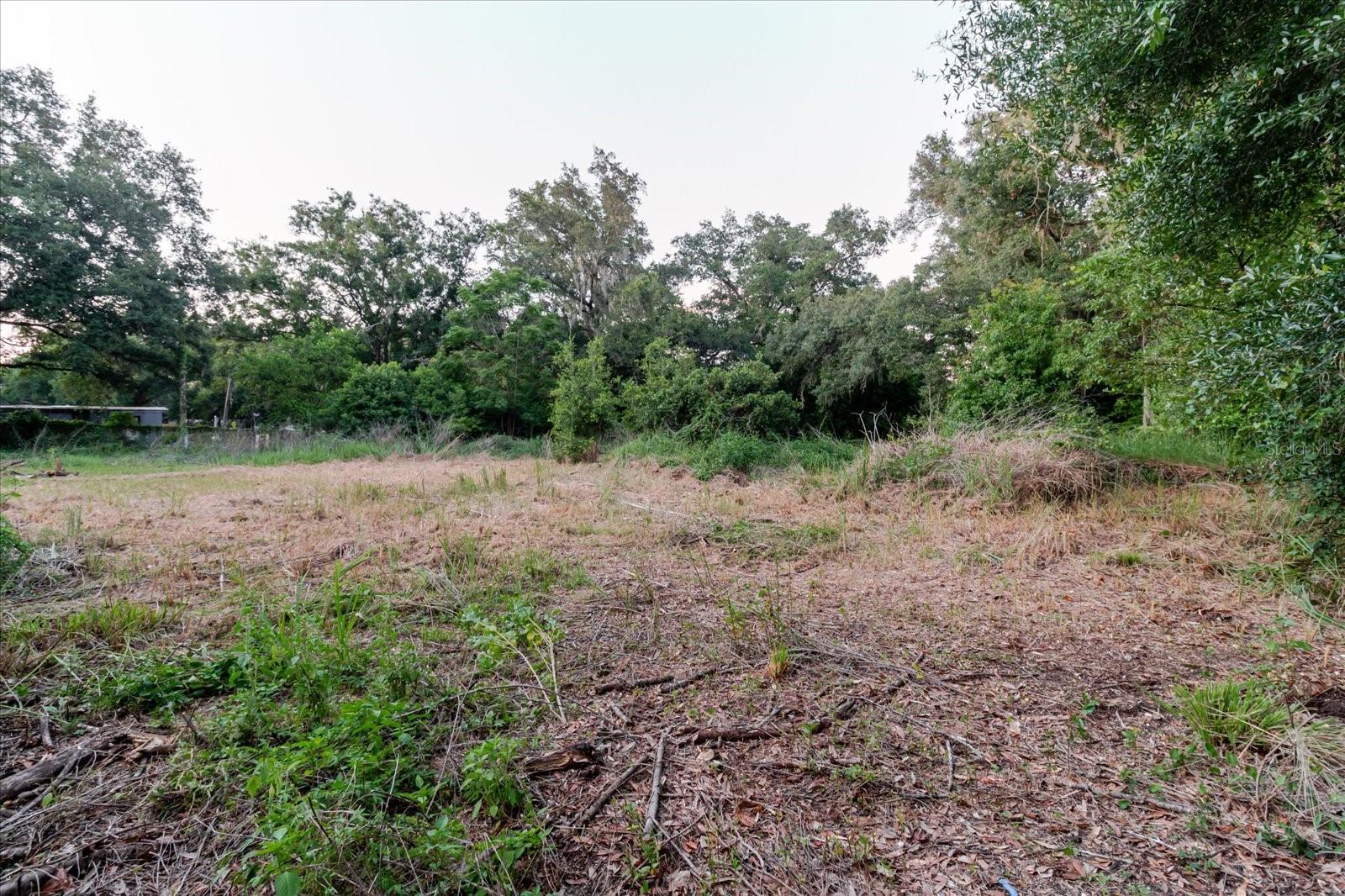 11152 Galaxy Ln Property Photo 65