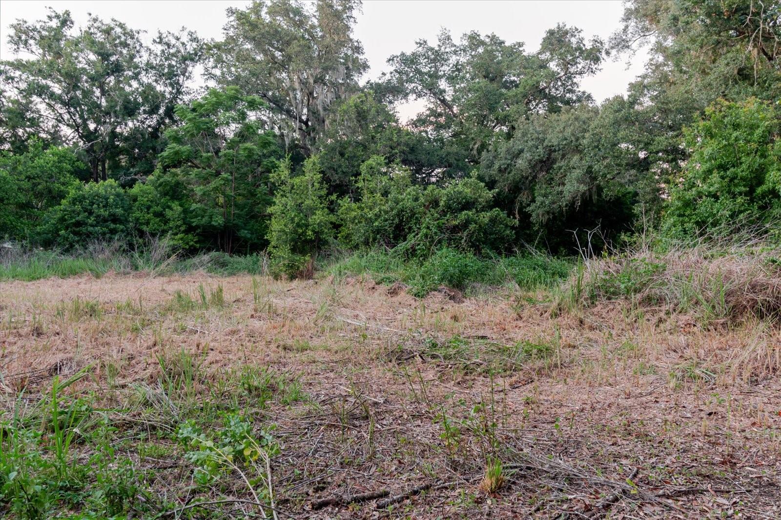 11152 Galaxy Ln Property Photo 66