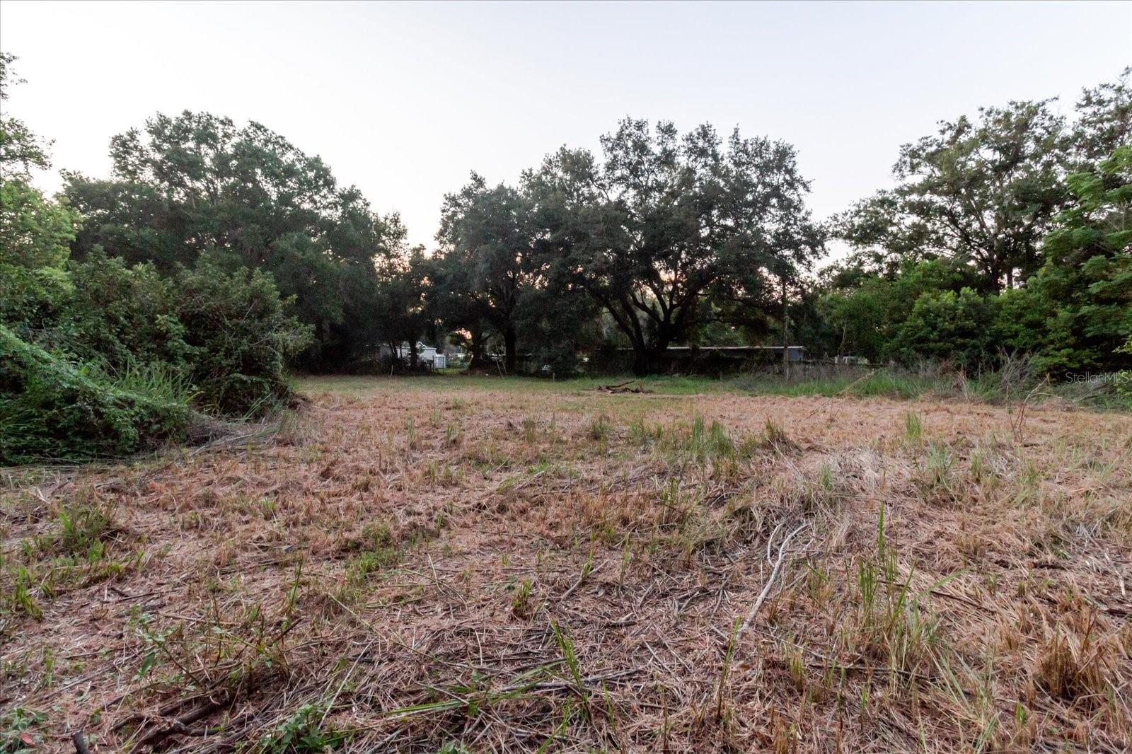 11152 Galaxy Ln Property Photo 67